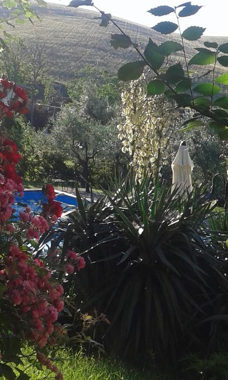 Agriturismo La Solagna Villa Montebello di Bertona Luaran gambar