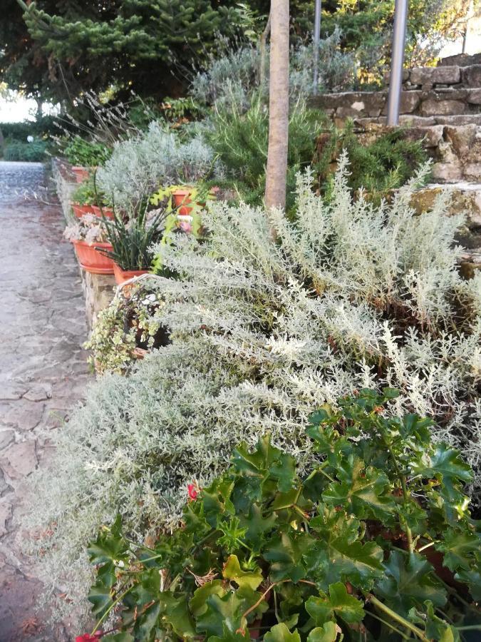 Agriturismo La Solagna Villa Montebello di Bertona Luaran gambar